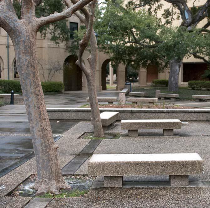 Ice covers benches in the Quad on Tuesday, Jan. 28, 2014.