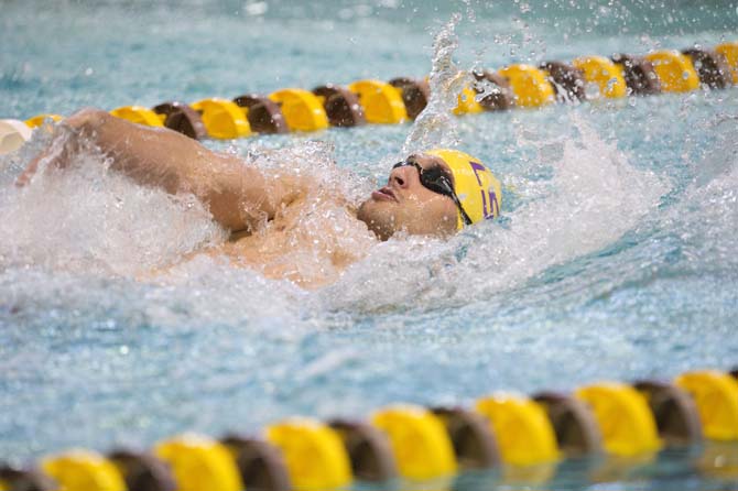 LSU senior swimmer Michael Saco backstrokes through the Natatorium in September 2013. Saco used his mother's Olympic success as motivation throughout his career.