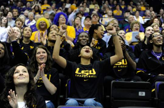 Couple demonstrates committed fandom to LSU