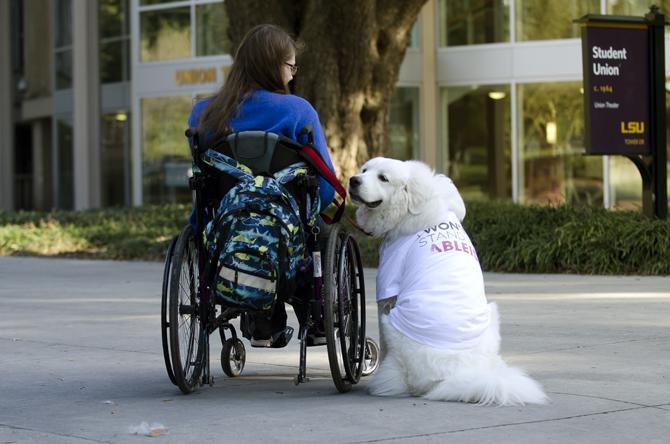 LSU Junior Alexandria Arceneaux, a food science major, next to Mishka, her guide dog, while wearing his "I Won't Stand For..." t-shirt stamped with "Ableism".