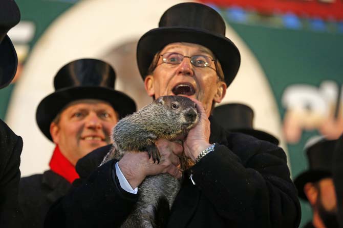 Punxsutawney Phil is held by Ron Ploucha after emerging from his burrow Sunday, Feb. 2, 2014, on Gobblers Knob in Punxsutawney, Pa., to see his shadow and forecast six more weeks of winter weather. The prediction this year fell on the same day as Super Bowl Sunday. (AP Photo/Gene J. Puskar)