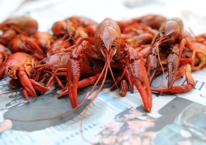 Warmer weather in Louisiana opens the door to crawfish season, which typically runs from January to June.