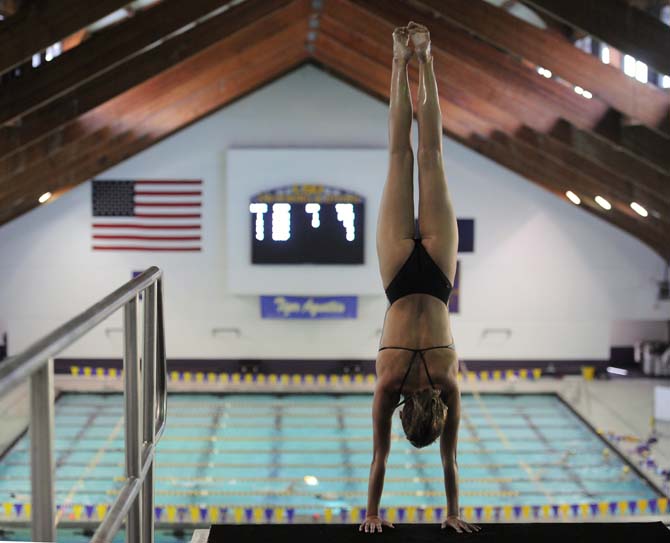 Sophomore diver and pre-business administration student Cassie Weil practices a dive on a ten-meter diving platform Sept. 16, 2013, in the LSU natatorium.