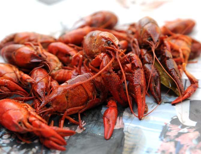 Crawfish season is coming