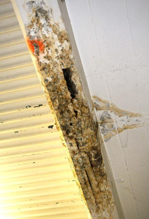 Mold grows from a water leak in the hallway ceiling of the Studio Arts Building.