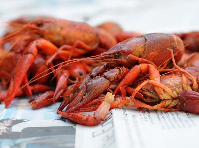 Crawfish season is coming