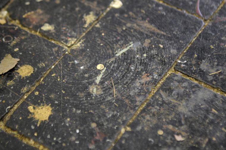 Wood bricks in the painting and drawing room of the Studio Arts Building could possibly retain toxins from when the space was the Engineering Shop and release them with rises in temperatures.