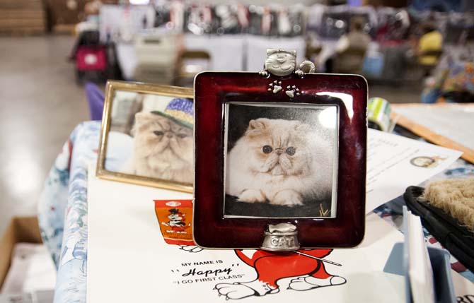 Framed photos of cats sit next to a row of cages Saturday, March 29, 2014, during the Greater Baton Rouge Cat Show at the Lamar Dixon Expo Center in Gonzales, La.