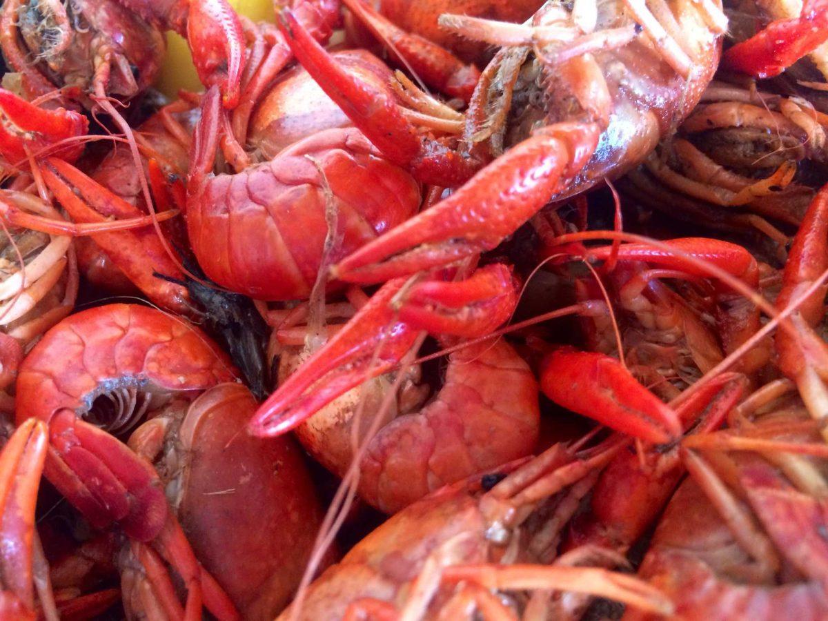 The winter effects on crawfish season