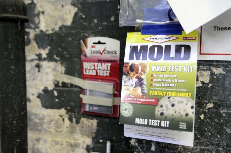 Painting and Drawing students use home lead and mold tests to monitor the toxicity of the environment in the Studio Arts Building.