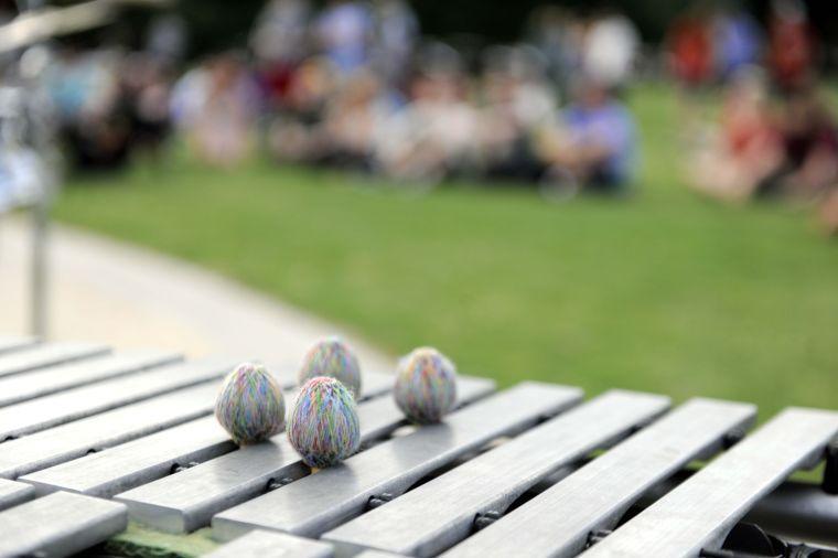 A xylophone at the First Annual Spring Greening Legalize Marijuana Music Festival on the LSU Parade Grounds.