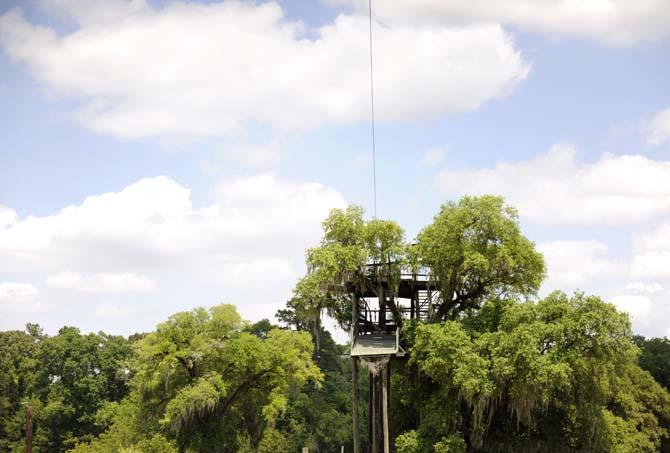 Tiki Zipline started to offer ziplining tours five years ago. The company also offers tubing on the Amite River.