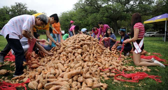 Volunteers fill bags with potatoes Tuesday, April 22, 2014, during a potato drop put on by Kitchens on the Geaux at the Parade Ground.