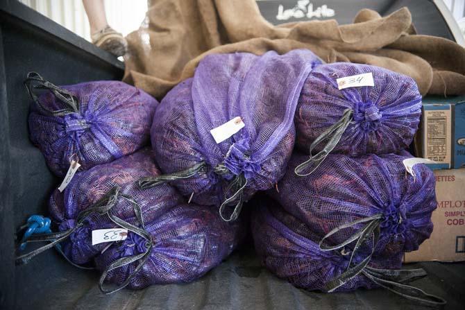 Bags of graded crawfish are sold Sunday, April 20, 2014 in New Iberia, La.