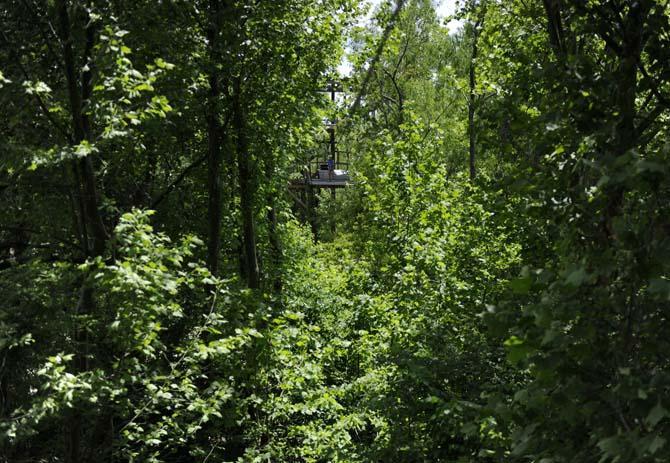 Tiki Zipline started to offer zipline tours five years ago. The company also offers tubing on the Amite River.