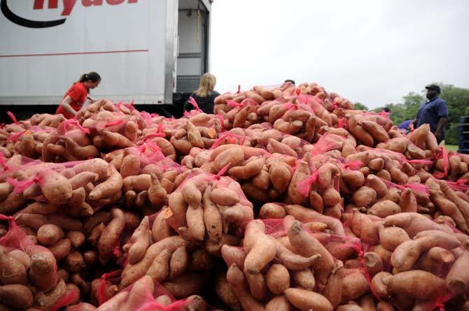 Bagged potatoes sit in a pile before they are loaded onto a truck Tuesday, April 22, 2014, during a potato drop put on by Kitchens on the Geaux at the Parade Ground.