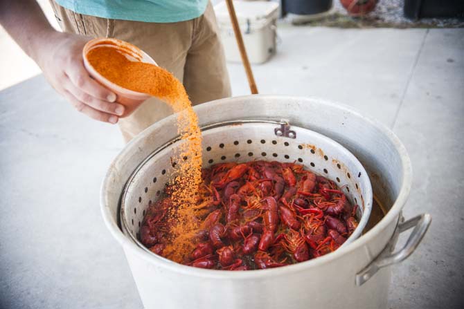 Once boiled, the crawfish are seasoned and allowed to lock in all of the flavor.