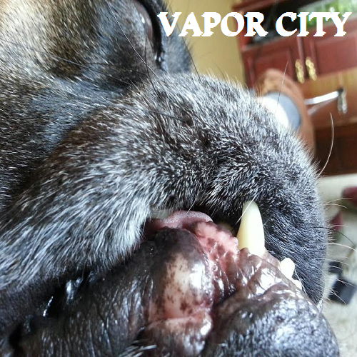 Vapor City: June 21, 2014