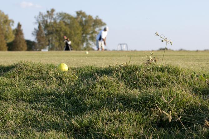 The grass at LSU Golf Course soaks in on a Wednesday, Oct. 31, 2012 the sun's soft sunlight on breezy afternoon.