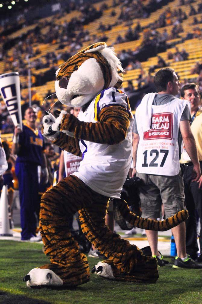 LSU mascot Mike the Tiger dances in the endzone Saturday, September 6, 2014 during the Tigers' 56-0 win against Sam Houston State in Tiger Stadium.