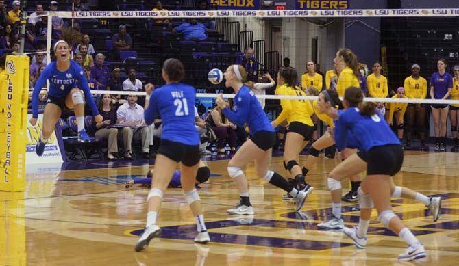 Kentucky volleyboall team celebrates winning a set of their match against LSU Wednesday, September 24, 2014 in the PMAC.