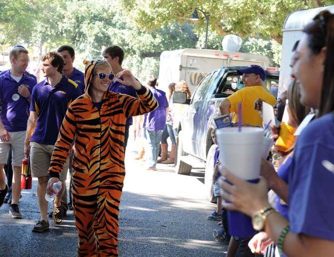 A fan walks the Homecoming parade dressed head to toe in a tiger suit.