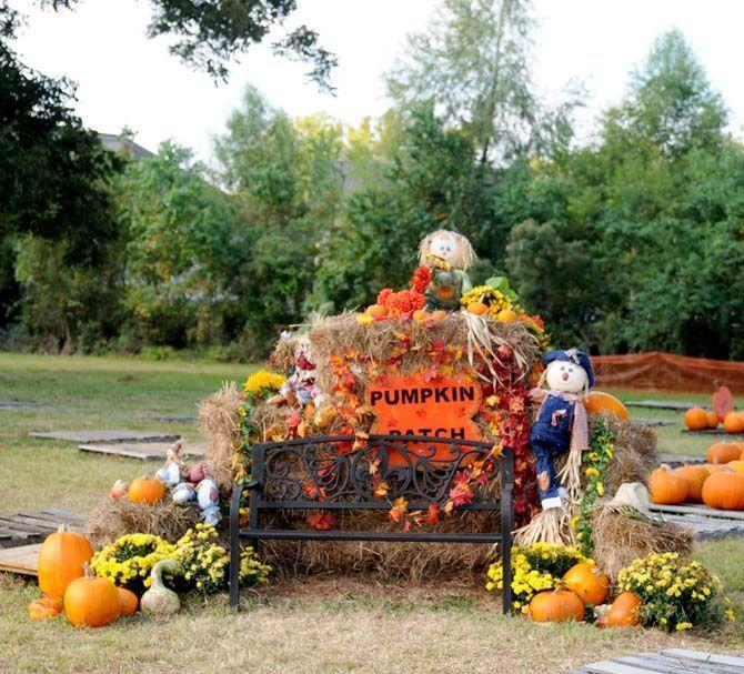 Pumpkin patches are a defining part of the Halloween tradition. Jefferson United Methodist Church, located at 10328 Jefferson Highway, offers an annual pumpkin patch with proceeds funding their various missions.