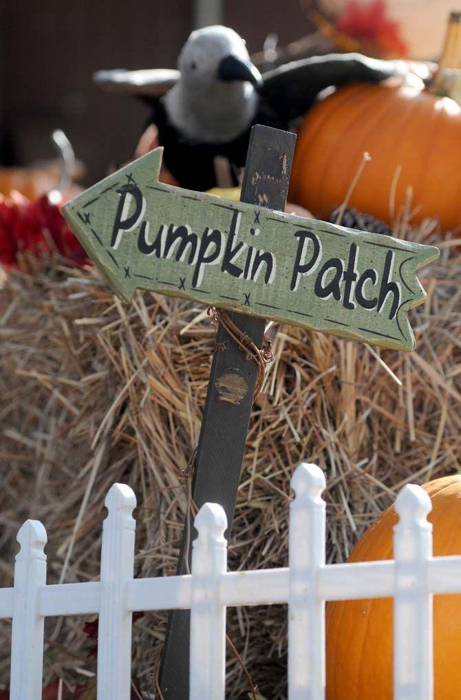 Pumpkin patches are a defining part of the Halloween tradition. Jefferson United Methodist Church, located at 10328 Jefferson Highway, offers an annual pumpkin patch with proceeds funding their various missions.
