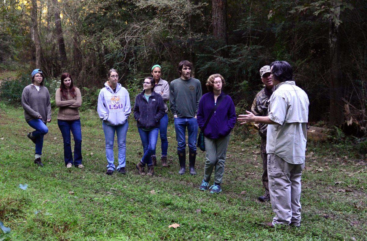 A group of LSU conservation biologist attempt to trap birds with a large net at Wadill Wildlife Management Area in Baton Rouge earily Saturday morning October 25, 2014.