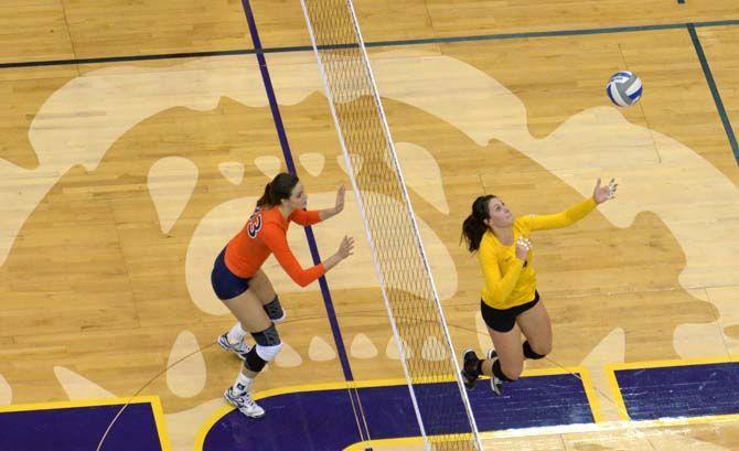 LSU senior setter Malorie Pardo (14) jumps towards the ball during the Tigers' 3-0 victory over Auburn Sunday, Nov. 23, 2014 on the PMAC.