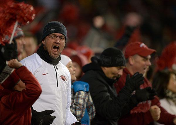 Fan cheers after Arkansas scores a touchdown in a winning game against LSU 17-0 Saturday, Nov. 15, 2014 in Donald W. Reynolds Razorback Stadium.