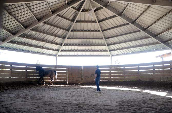 Boisvert Farms, owned by the Purdin family, specializes in breeding Arabian horses. A special stable was built where trainer Joel Gangi interacts with the horses.