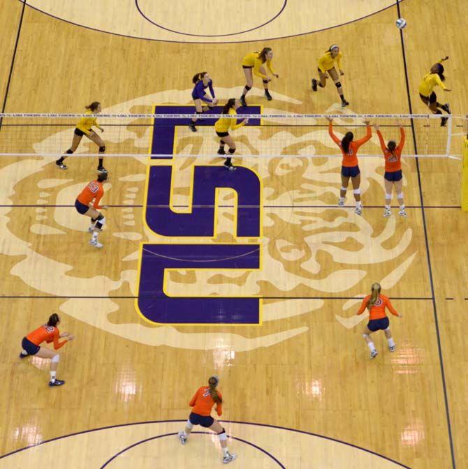 LSU freshman outside hitter Gina Tills (12) spikes the ball during the Tigers' 3-0 victory over Auburn Sunday, Nov. 23, 2014 on the PMAC.