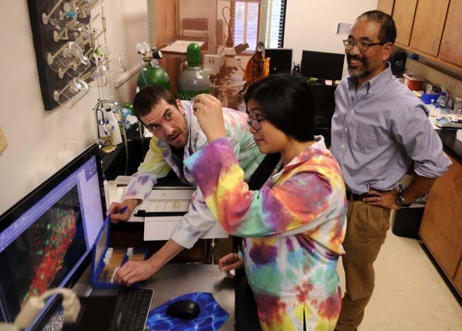 BRCC biology sophomore Ryan LeBlanc and LSU biochemistry senior Katie Huang sort through slides of sections of an alligator brain Wednesday Nov. 12, 2014 in the Life Science building.