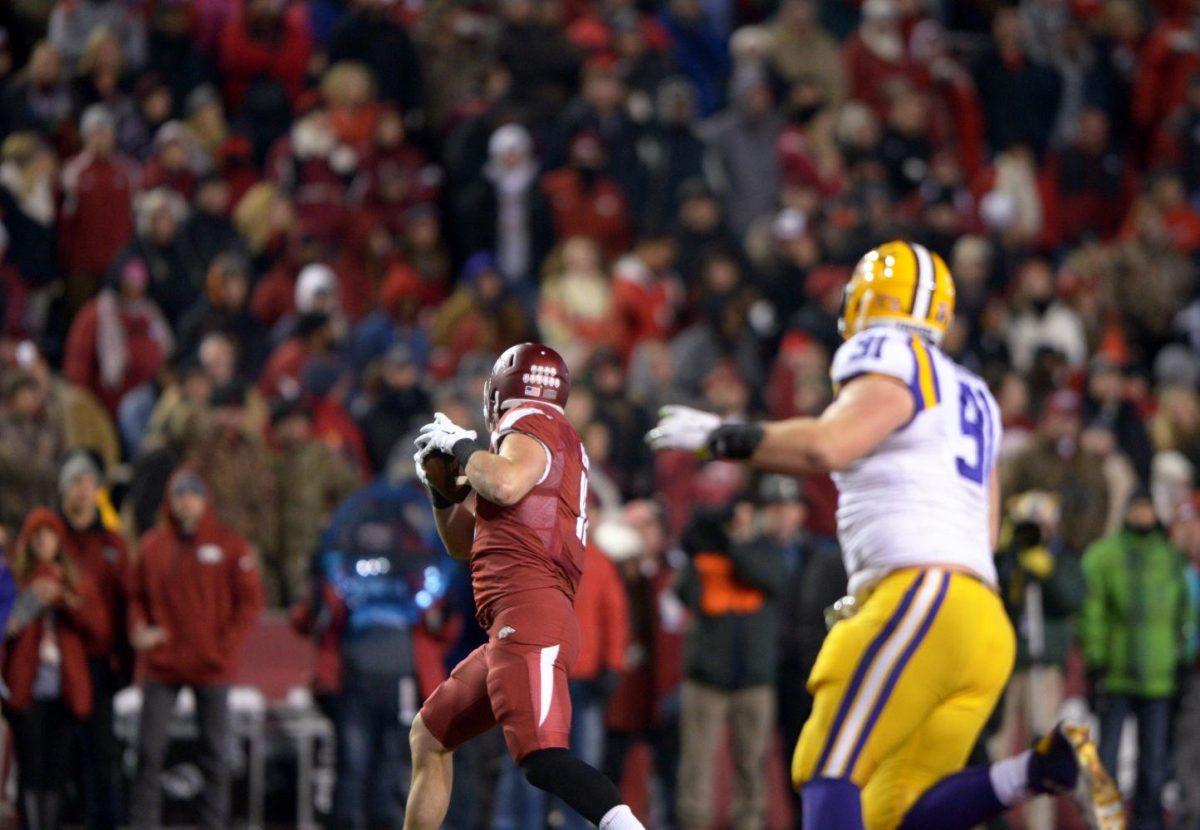 Arkansas senior tight end AJ Derby (11) leads the ball down the field in winning game against LSU 17-0 Saturday, Nov. 15, 2014 in Donald W. Reynolds Razorback Stadium.