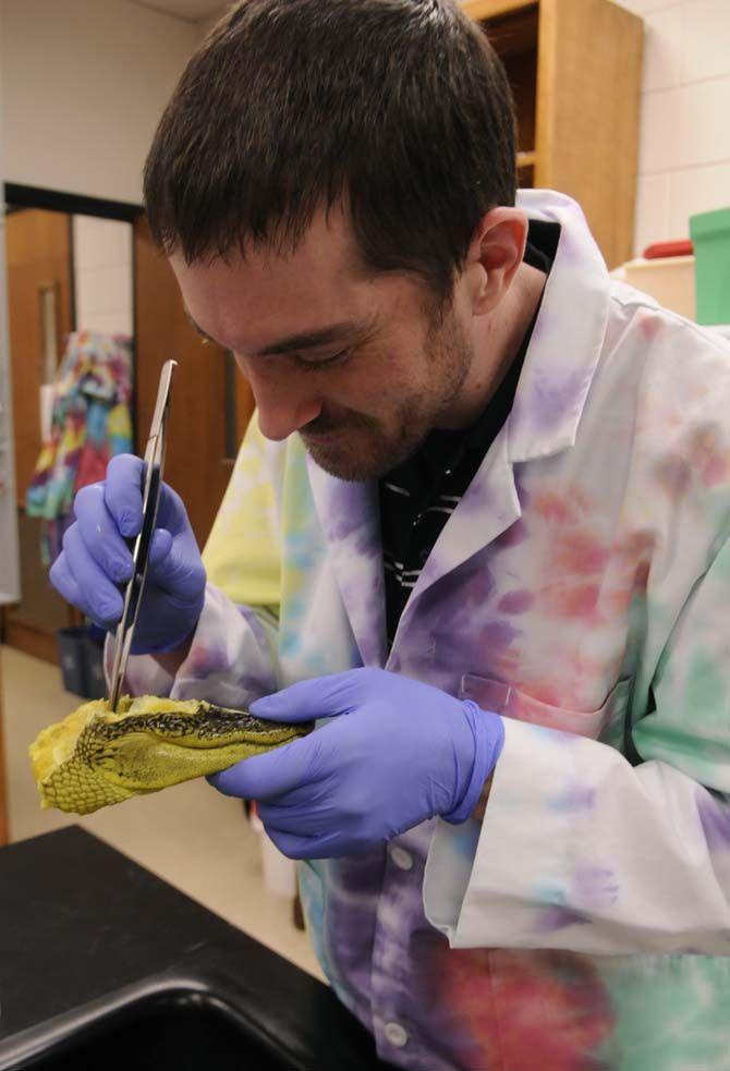 BRCC biology sophomore Ryan LeBlanc examines a dissected alligator head Wednesday Nov. 12, 2014 in the Life Science building.