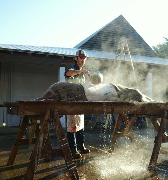 Toby Rodriguez pours boiling water over a slaughtered pig to remove the hair Sunday, November 30, 2014 at La Boucherie Merci in Vermillionville, La.