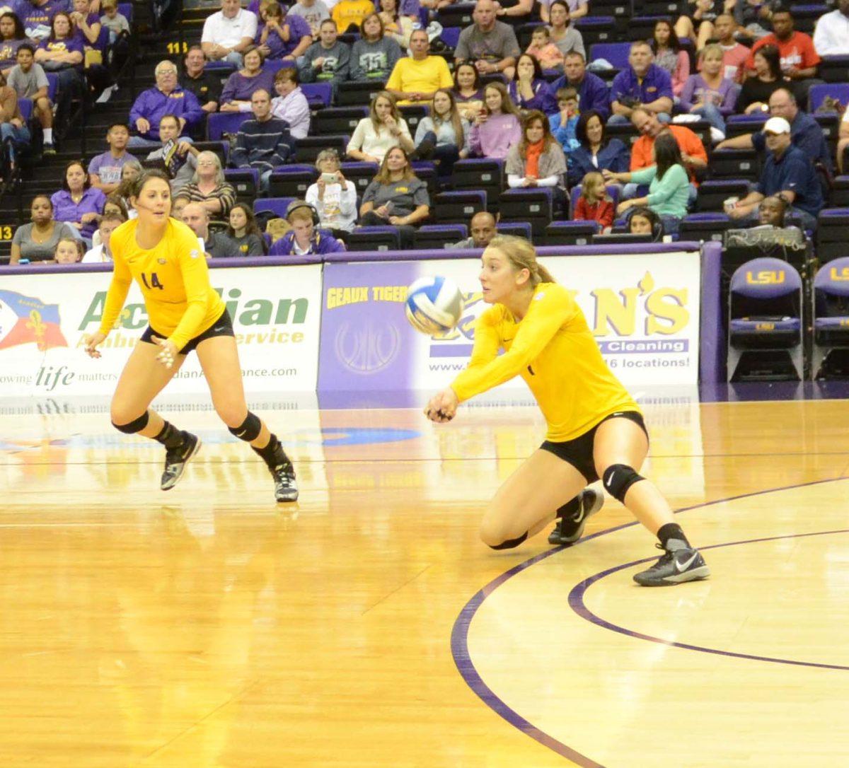 LSU junior Katie Lindelow dives for the ball at the 3-0 Win LSU vs Auburn at the PMAC November 23, 2014.