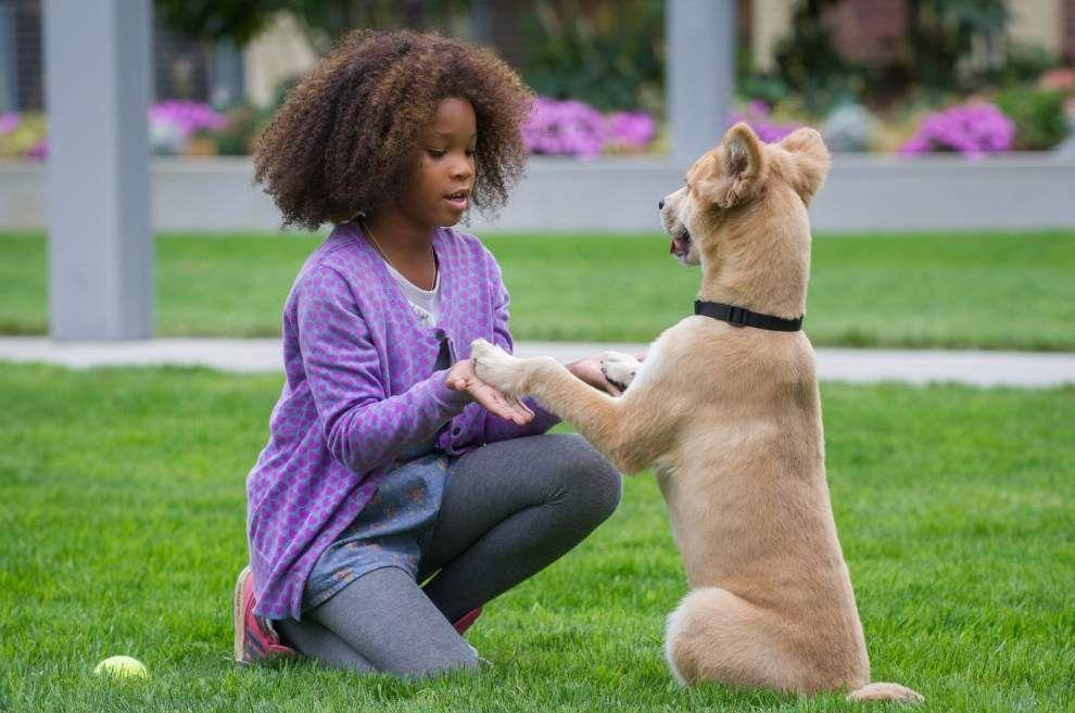 &#8216;Annie&#8217; star Quvenzhan&#233; Wallis talks about acting, school and future dreams