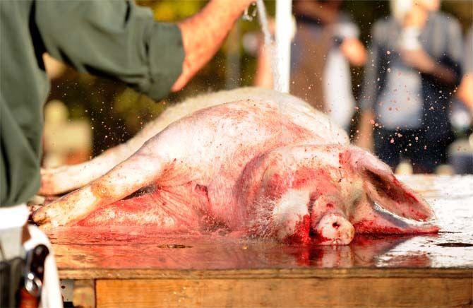 Blood is washed off of the dead pig's skin Sunday, November 30, 2014 at La Boucherie Merci in Vermillionville, La.