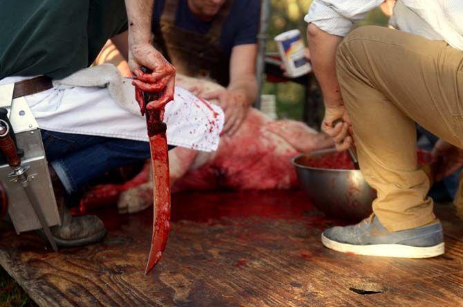 Toby Rodriguez and members of Lache Pas slaughter a pig Sunday, November 30, 2014 at La Boucherie Merci in Vermillionville, La.