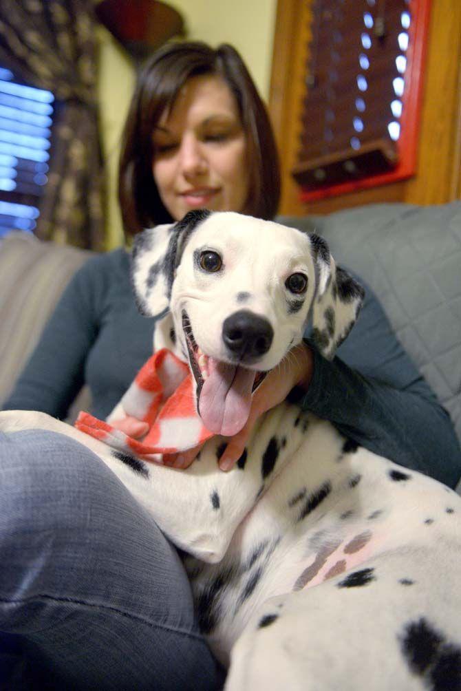 The LSU vet school library will be hosting an event, organized by Dana Romano with her dog Mia, where students and faculty can bring their animals to take pictures with Santa.