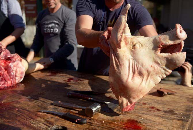 A pig's head is severed for head cheese Sunday, November 30, 2014 at La Boucherie Merci in Vermillionville, La.