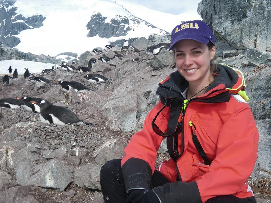 University graduate student Rachael Herman researched penguins in the Antarctic Peninsula.