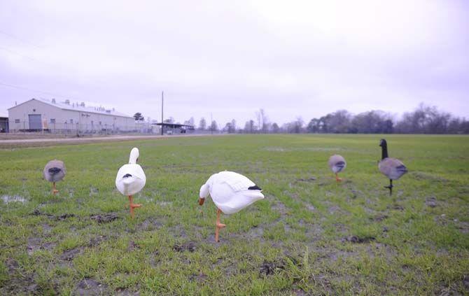 University student introduces new technology to hunting industry