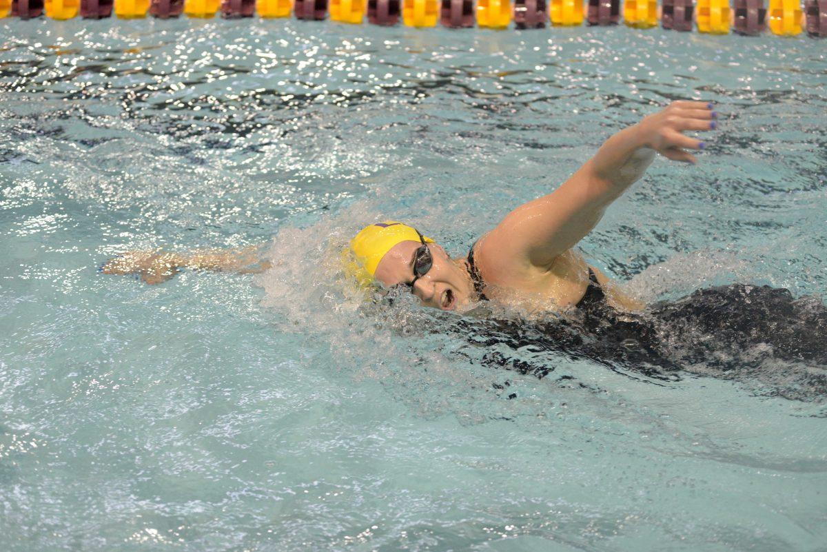 LSU junior Jessie James swims 500 yard freestyle on Saturday, Jan 31, 2015 meet against Rice, Houston and Tulane at the LSU natatorium.