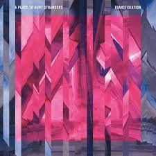 REVIEW: A Place to Bury Strangers - 'Transfixiation'