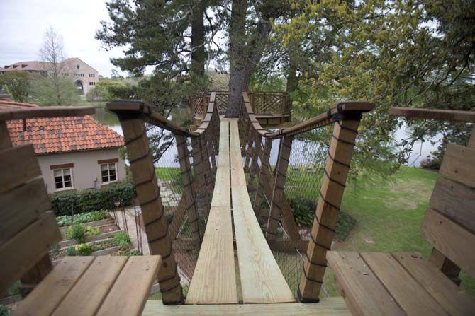 Raising Cane&#8217;s owner reflects on his new treehouse