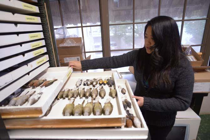 Museum of Natural Science opens new DNA laboratory