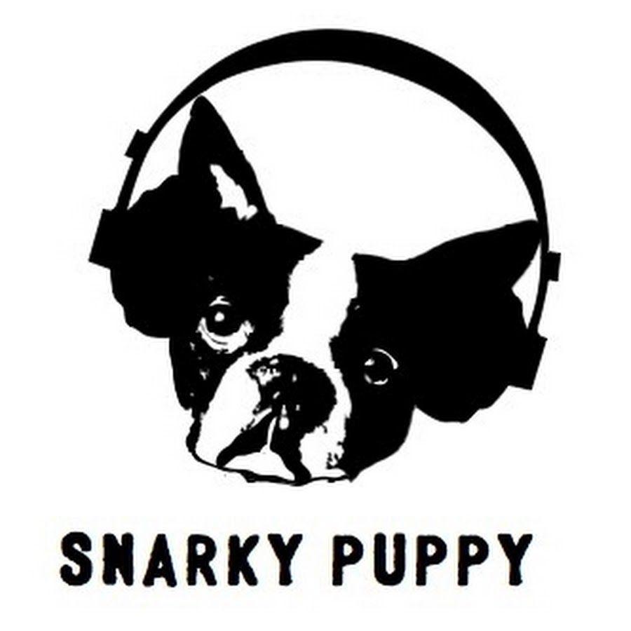 Interview: A conversation with Snarky Puppy Side Projects